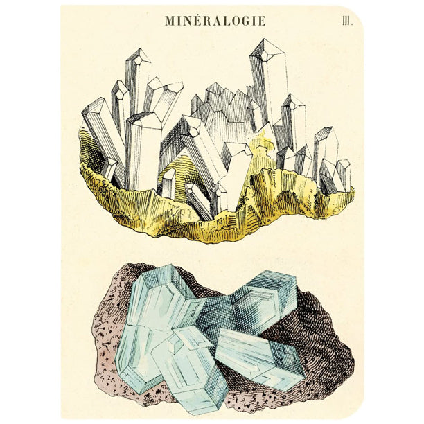 Cavallini & Co. Mini Notebook Sets Mineralogy 3/Pkg