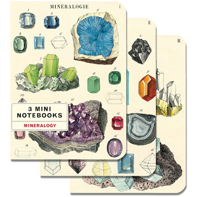 Cavallini & Co. Mini Notebook Sets Mineralogy 3/Pkg