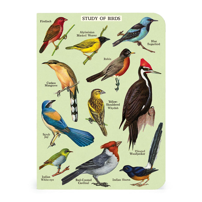 Bird Watching Mini Notebook Set 3/Pkg Cavallini & Co.