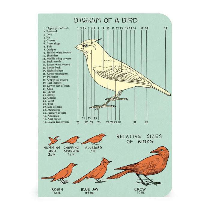 Bird Watching Mini Notebook Set 3/Pkg Cavallini & Co.