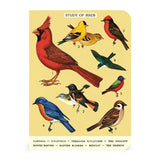 Bird Watching Mini Notebook Set 3/Pkg Cavallini & Co.