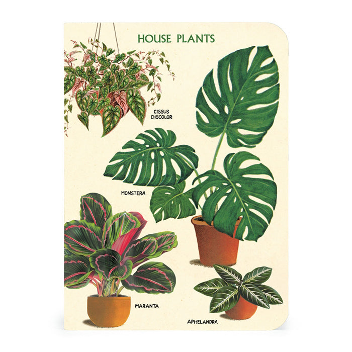 Houseplants Mini Notebook Set 3/Pkg Cavallini & Co.