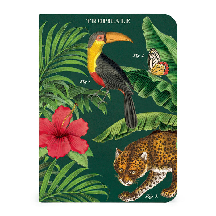 Tropicale Mini Notebook Set 3/Pkg Cavallini & Co.