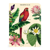 Tropicale Mini Notebook Set 3/Pkg Cavallini & Co.