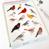 North American Bird Stickers