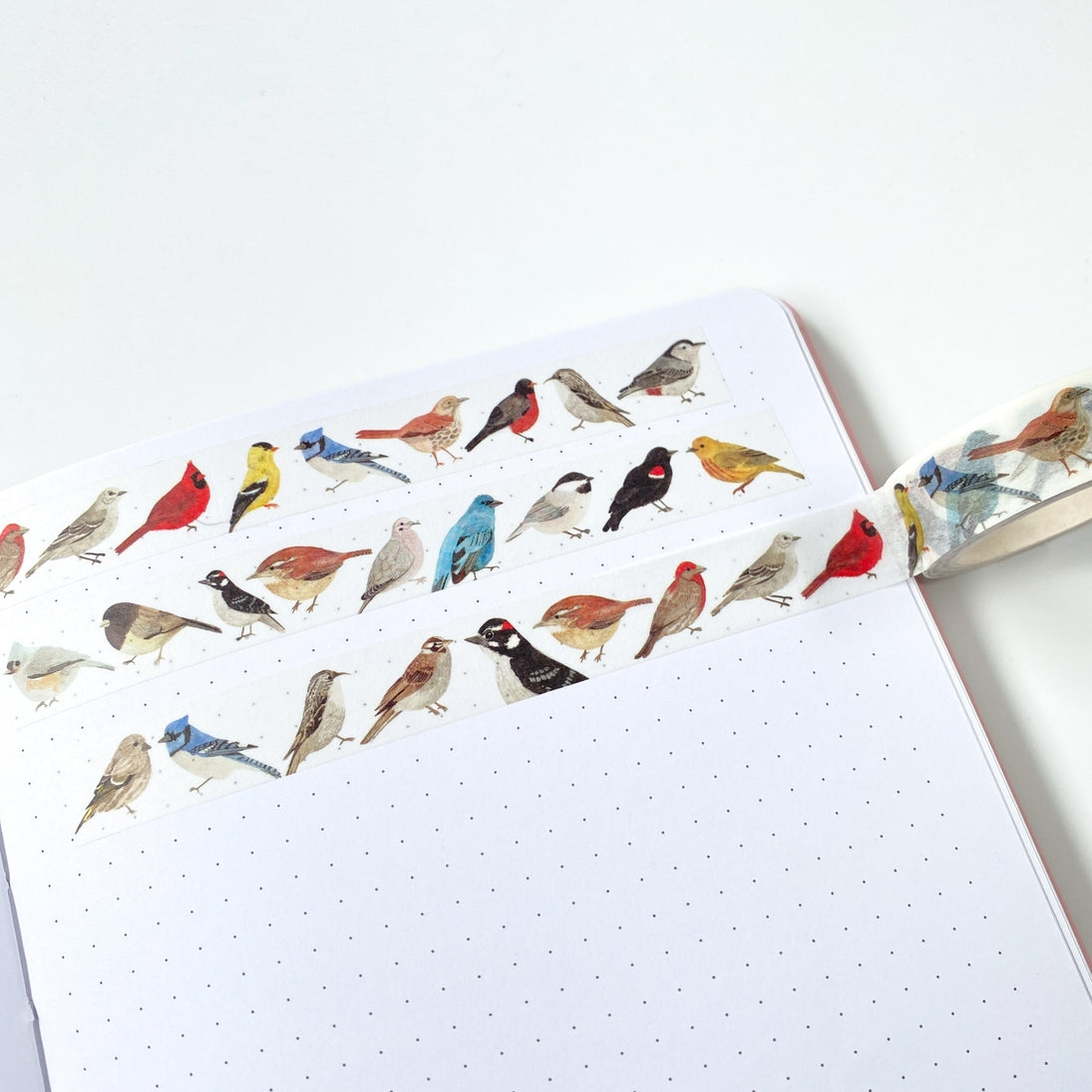 North American Birds Washi Tape