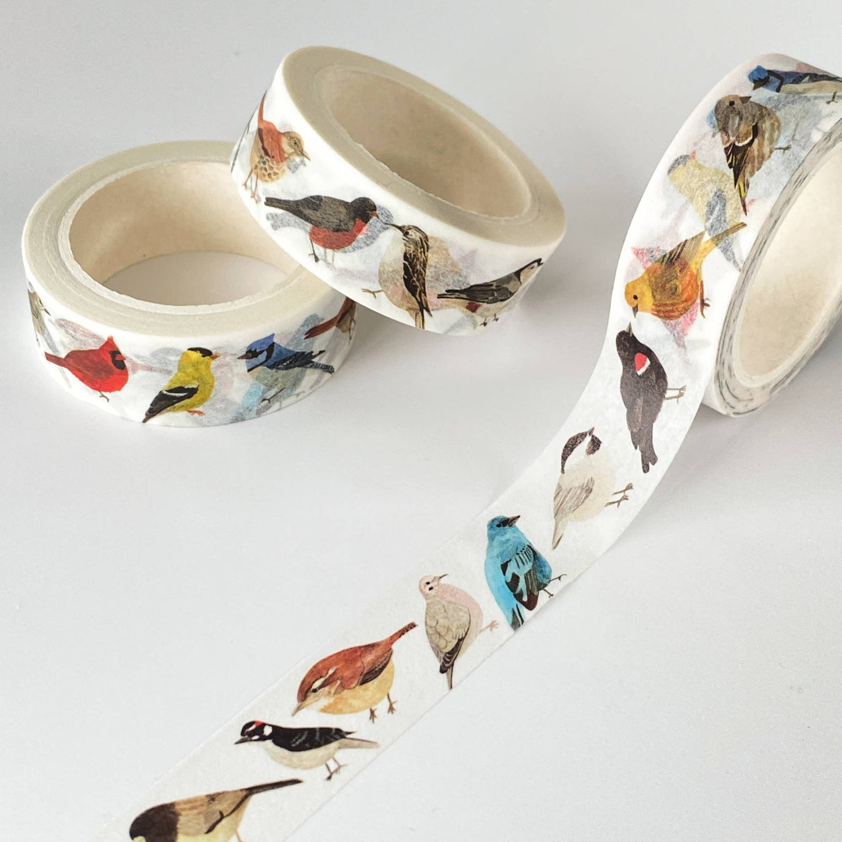 North American Birds Washi Tape