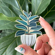 Rubber Tree Sticker