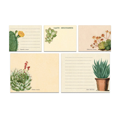 Succulents Sticky Notes Tin Cavallini & Co. (300 count)