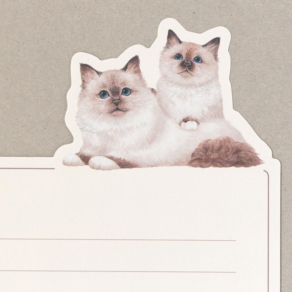 VILLE et Minou Chipie & Nina Mini Letter Set