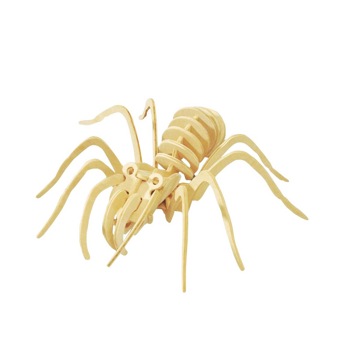 DIY 3D Wooden Puzzle Spider