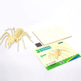 DIY 3D Wooden Puzzle Spider